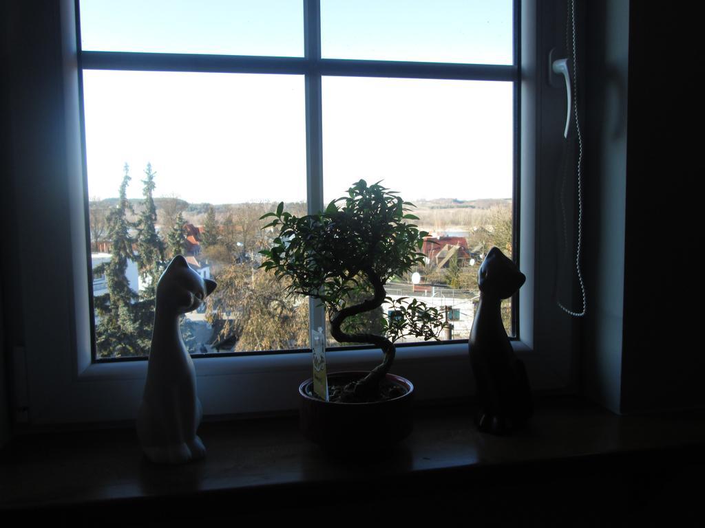 Apartamenty Przy Farze Kazimierz Dolny Habitación foto
